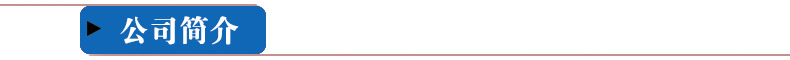 蓝色公司简? height=
