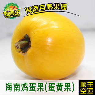 熟果甜 海南新鲜热带水果 蛋黄果 鸡蛋果 狮头果 5斤装 一件代发