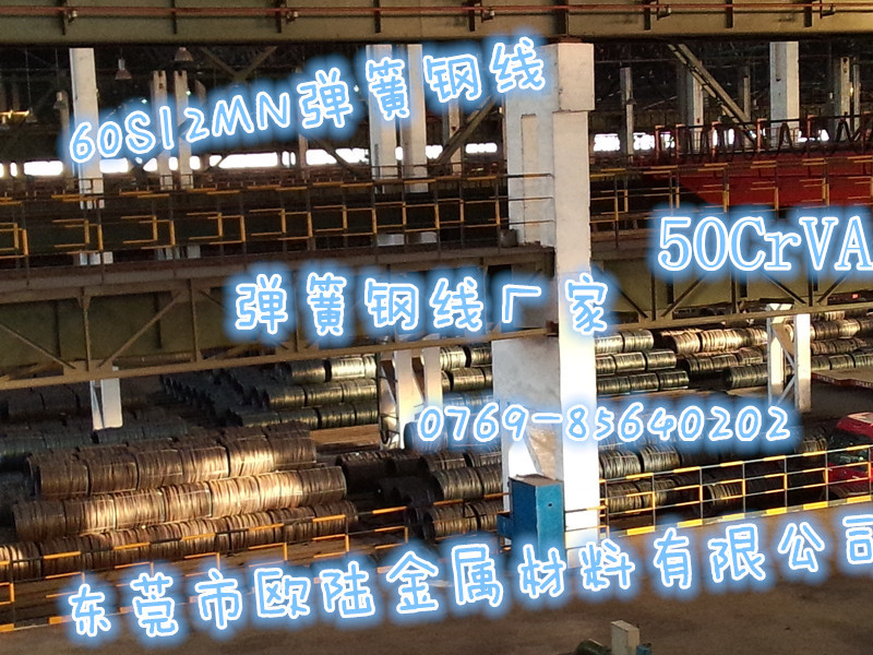 P41203-162353_副本