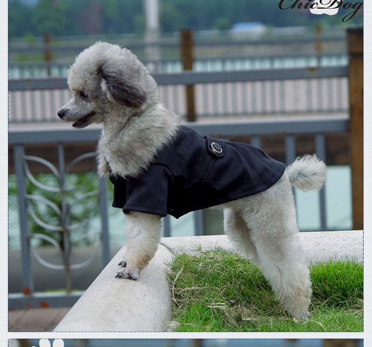 2021 Pet Clothes Dog Clothing Spring Wholesale Costumes For Dogs Coats