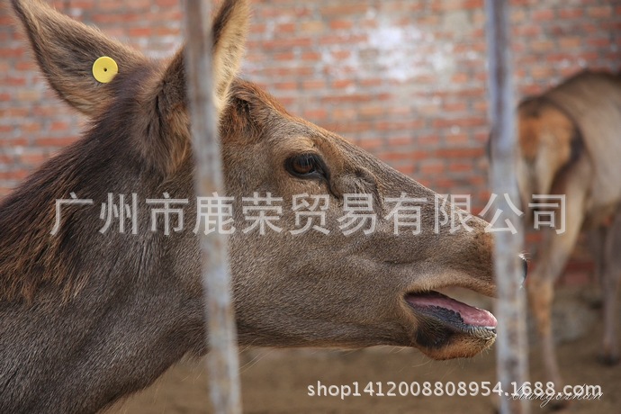 605c3fc6tcc06a6e2e0d8&690