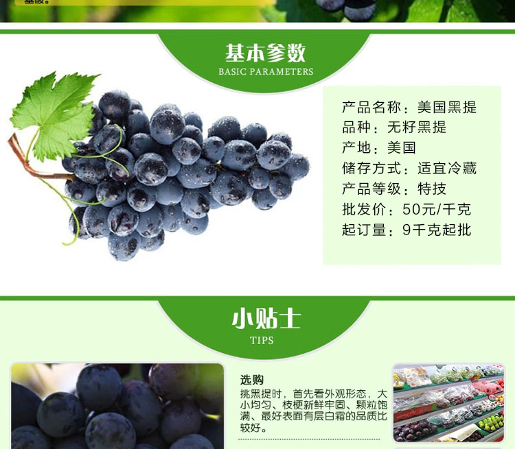 美国进口水果 皮薄肉厚无籽黑提葡萄 广西新鲜水果批发供应