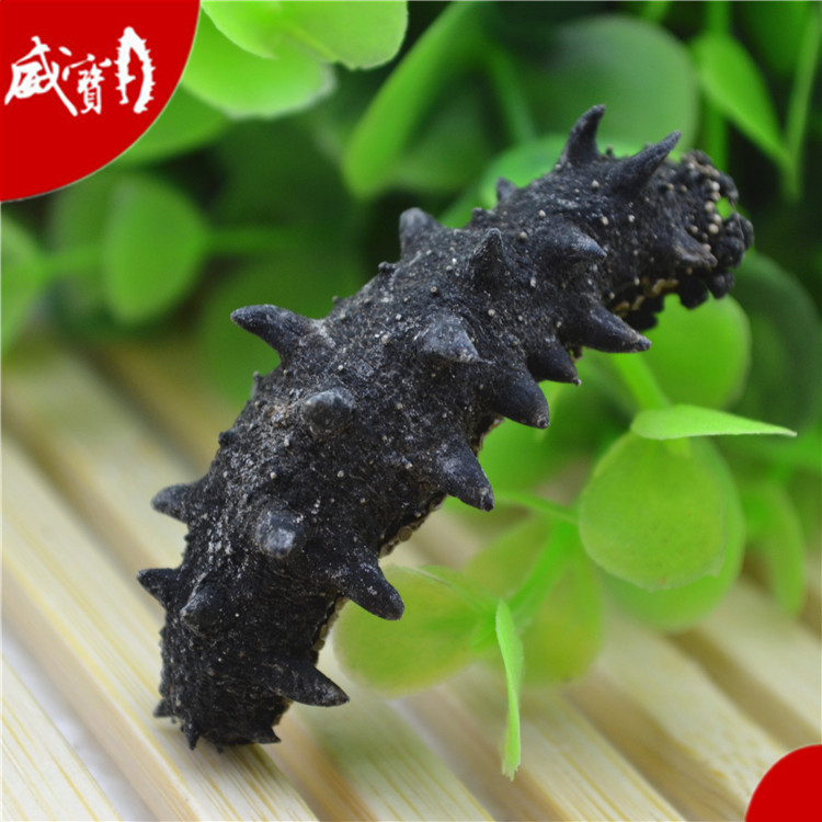 威宝 三级 淡干海参 5-6年 大连辽参 威海刺参 6-10头 50g 图片_高清大图 - 阿里巴巴