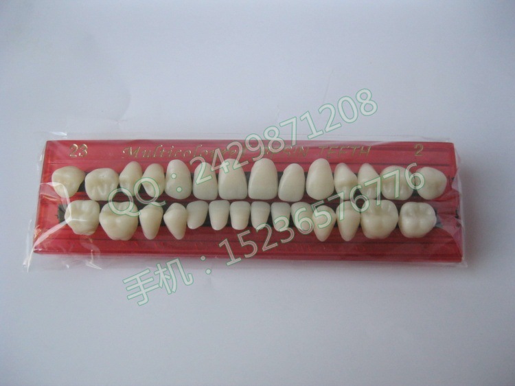 【牙科材料 塑料牙 十副装 树脂牙 口腔器材 质