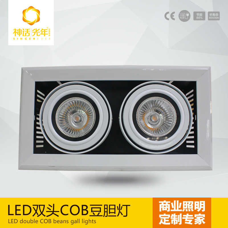 厂家直销,LED格栅灯,双头格栅射灯,COB豆胆灯双头,普通款,8009C