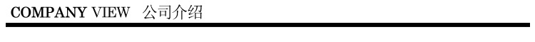 公司介绍