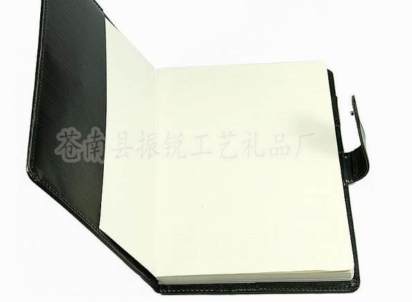 2011042309365150042副本