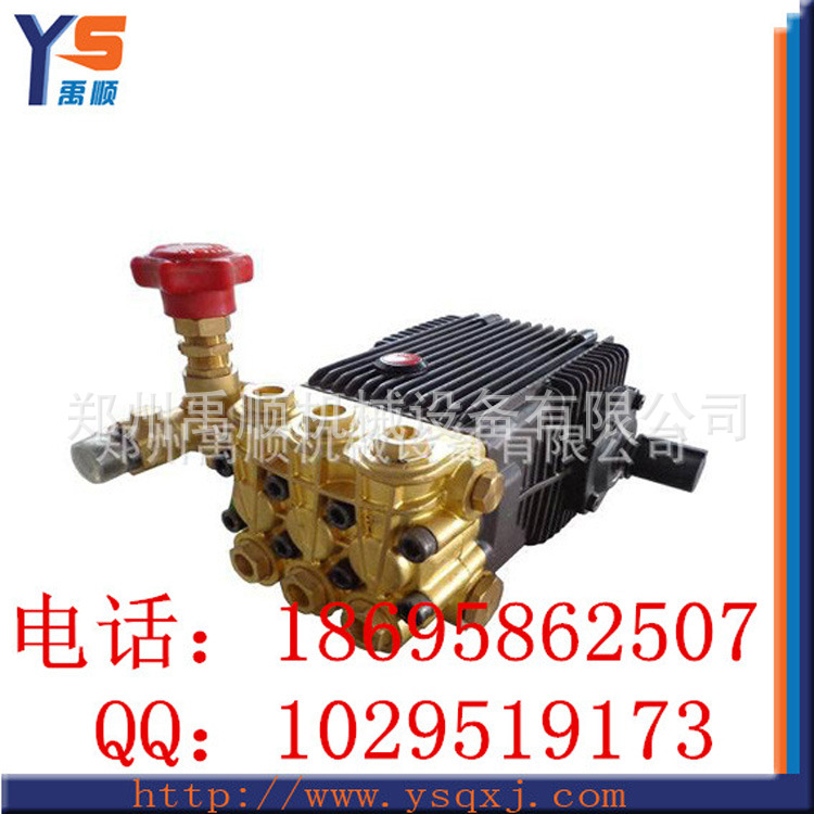 YS-Q1 500bar高压泵 进口