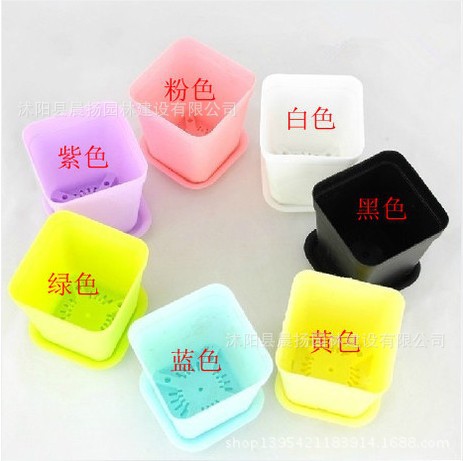 型小方盆 育苗盆 塑料花盆 多肉植物花盆批发 图