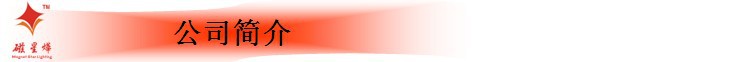 公司简介