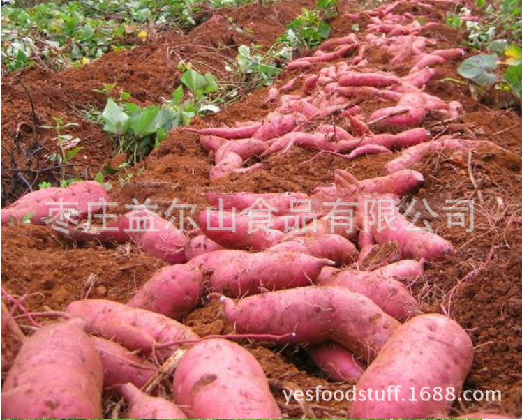 QQ截图20140415014739a