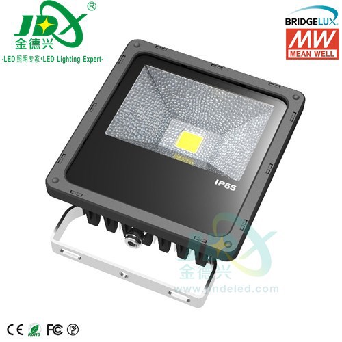 JDFL02003- 20W Bridgelux Meanw