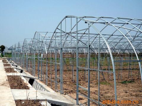 大棚-江苏徐州308亩二手温室蔬菜水果花卉大棚