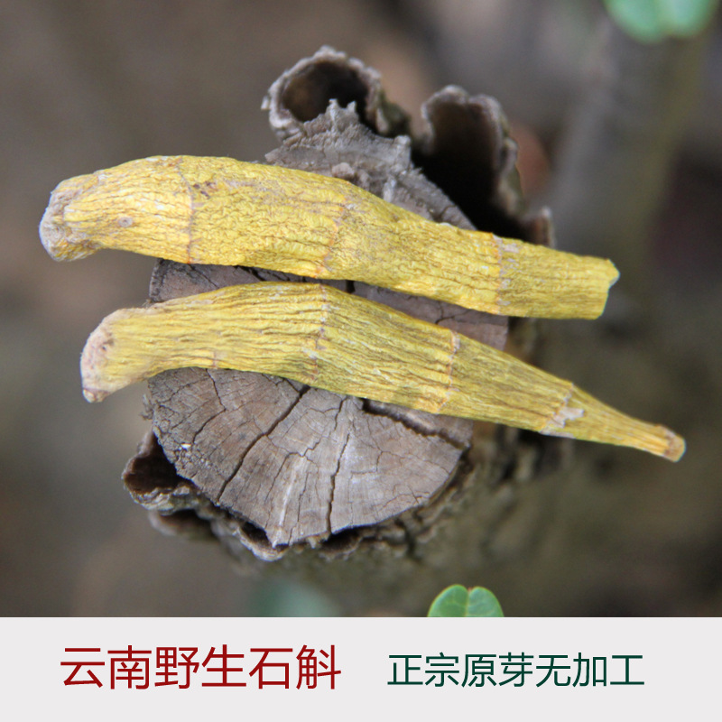 云南高黎贡山,中药野生铁皮石斛枫斗原芽批发,1g
