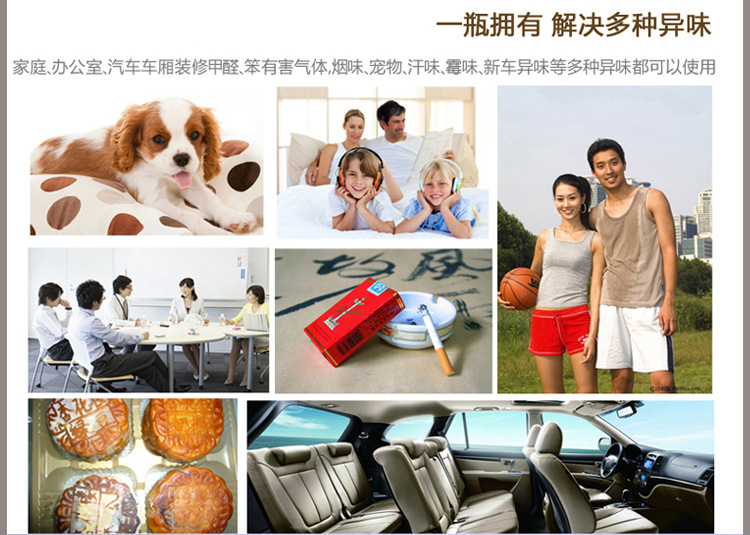 室内空气净化剂_34