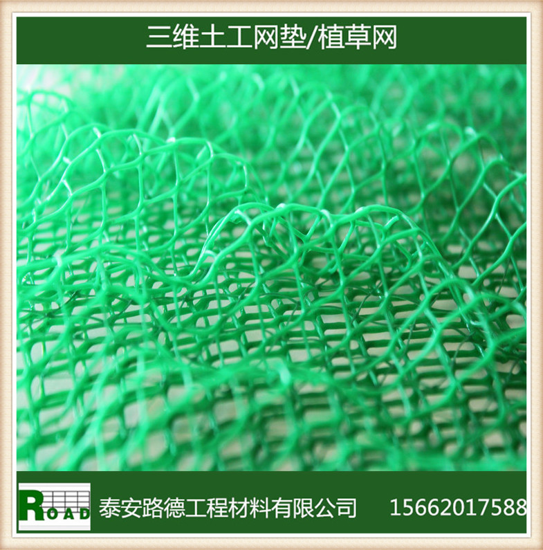 【促销】厂家供应护坡植草用立体网垫EM5,三维土工网垫