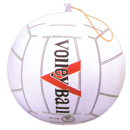 WB01-207  14inch  volley ball