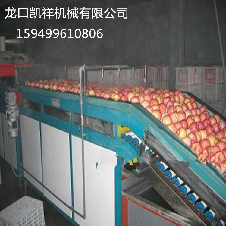 果蔬加工设备-脐橙苹果清洗打蜡机-果蔬加工设