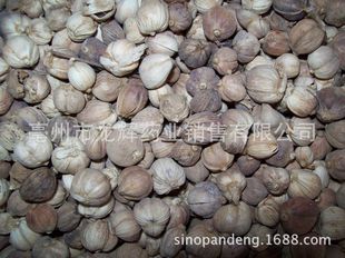 全国招商白豆蔻 /   中药材  代理商检 出口