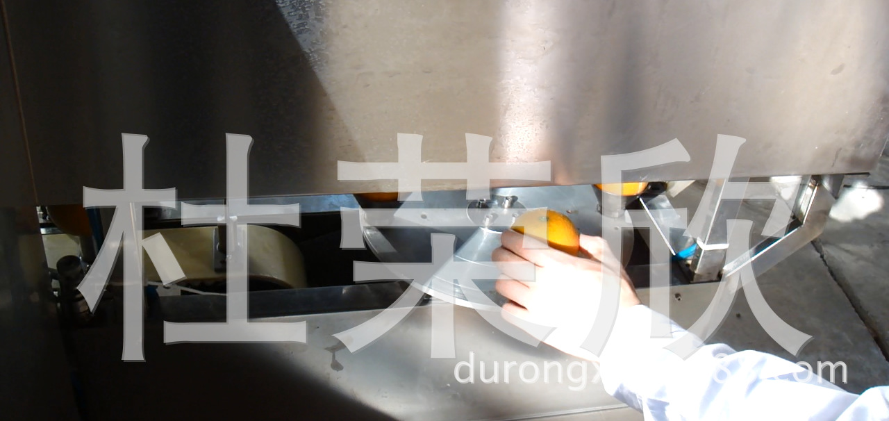 水果削皮机1