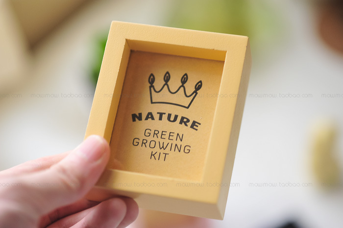 TB2Pz3ZXVXXXXX4XpXXXXXXXXXX-17