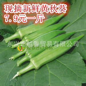 黄秋葵 新鲜黄秋葵六角毛豆羊豆角越南 绿色 质量保证