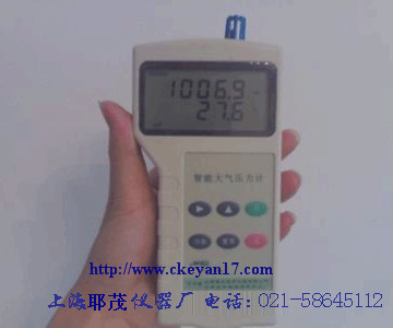 DPH系列數字大氣壓表