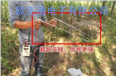 国VR8000地下大钻石大深度方法范围探测器】nds牧场物语操作金属图片