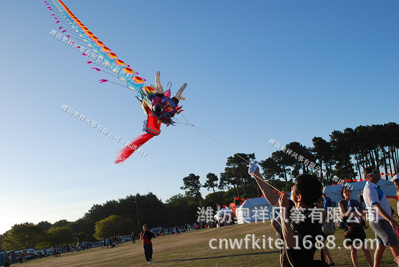 批发风筝,龙头蜈蚣,礼品风筝,kite,现代风筝,风筝线盘