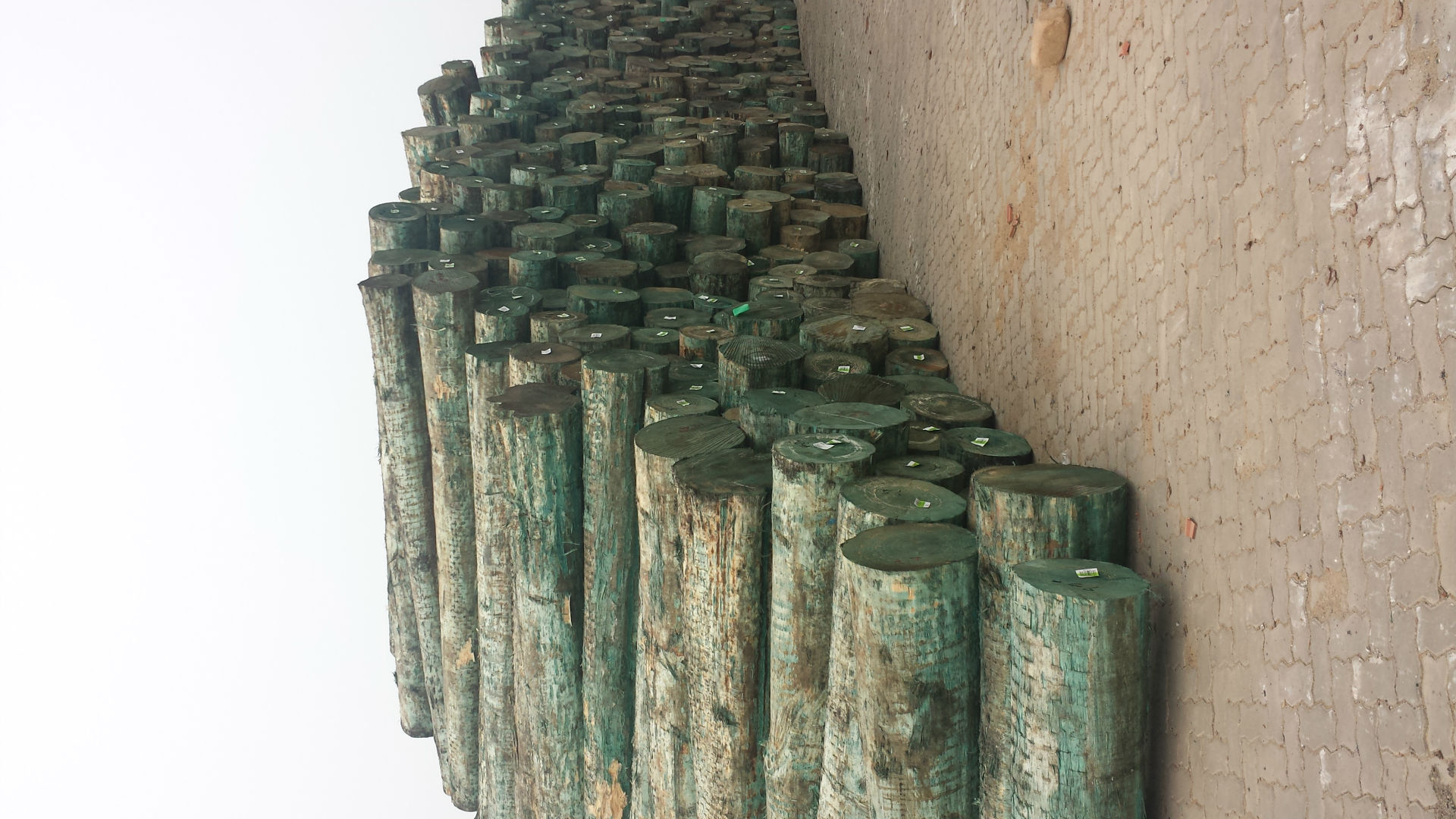 华友木业 长期 新西兰辐射松原木 家具材 松木板