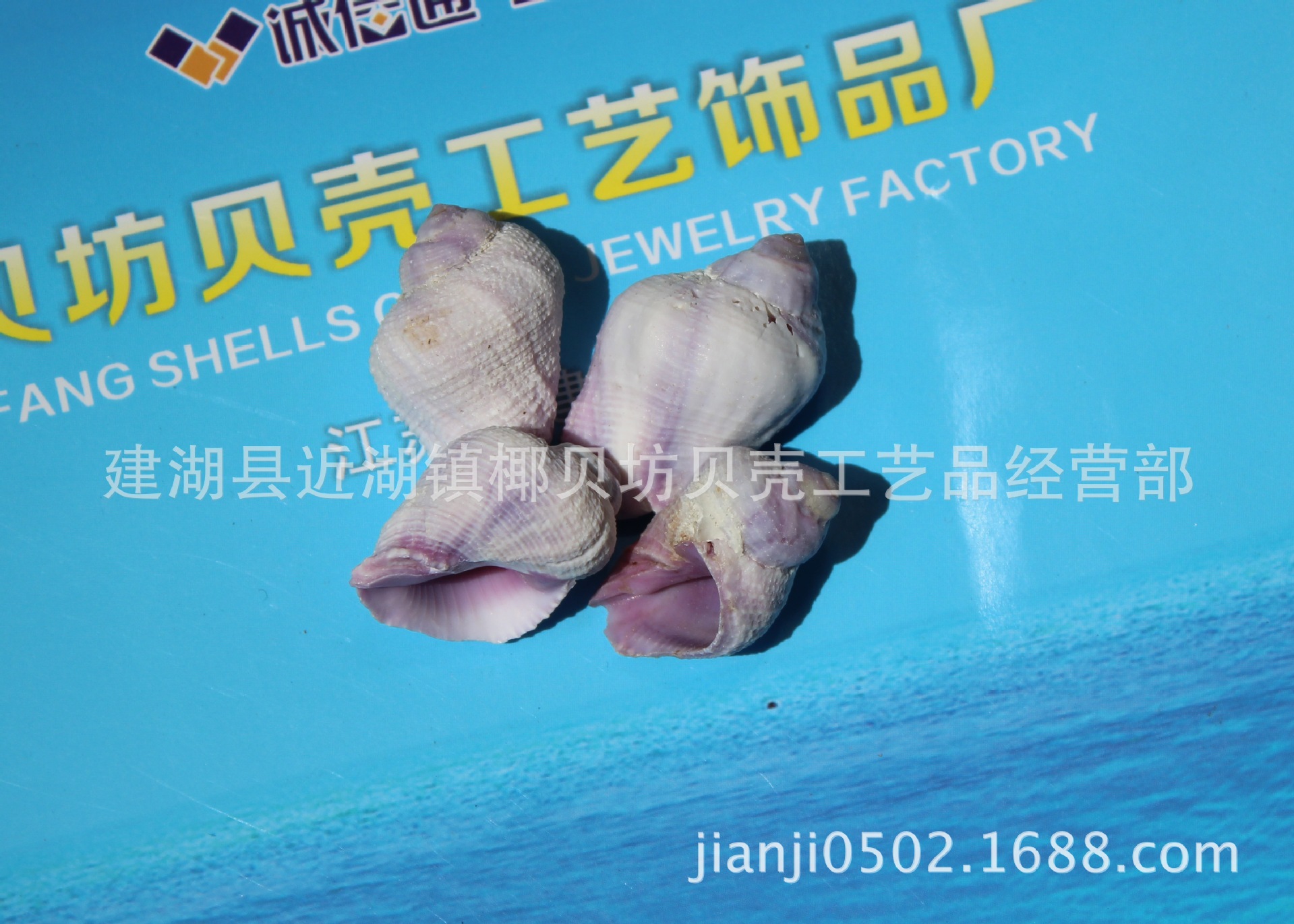 IMG_0785_2345看图王