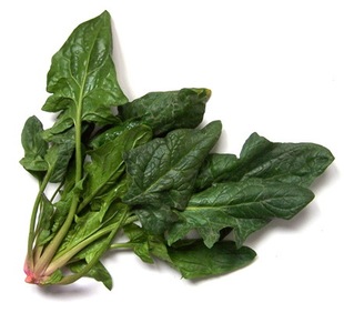 植物提取物-网络热销菠菜提取物\/波棱菜提取物