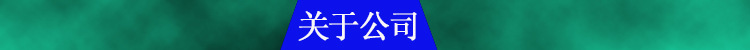 关于公司