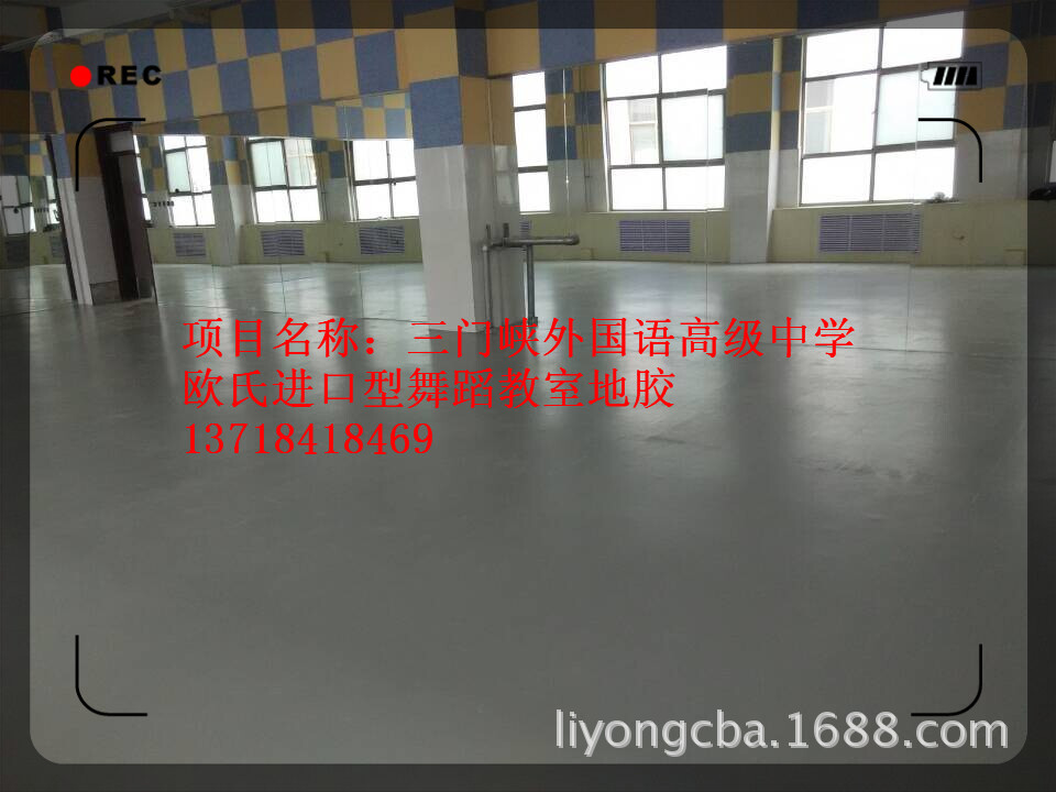 三门峡外国语高级中学 (2)_副本