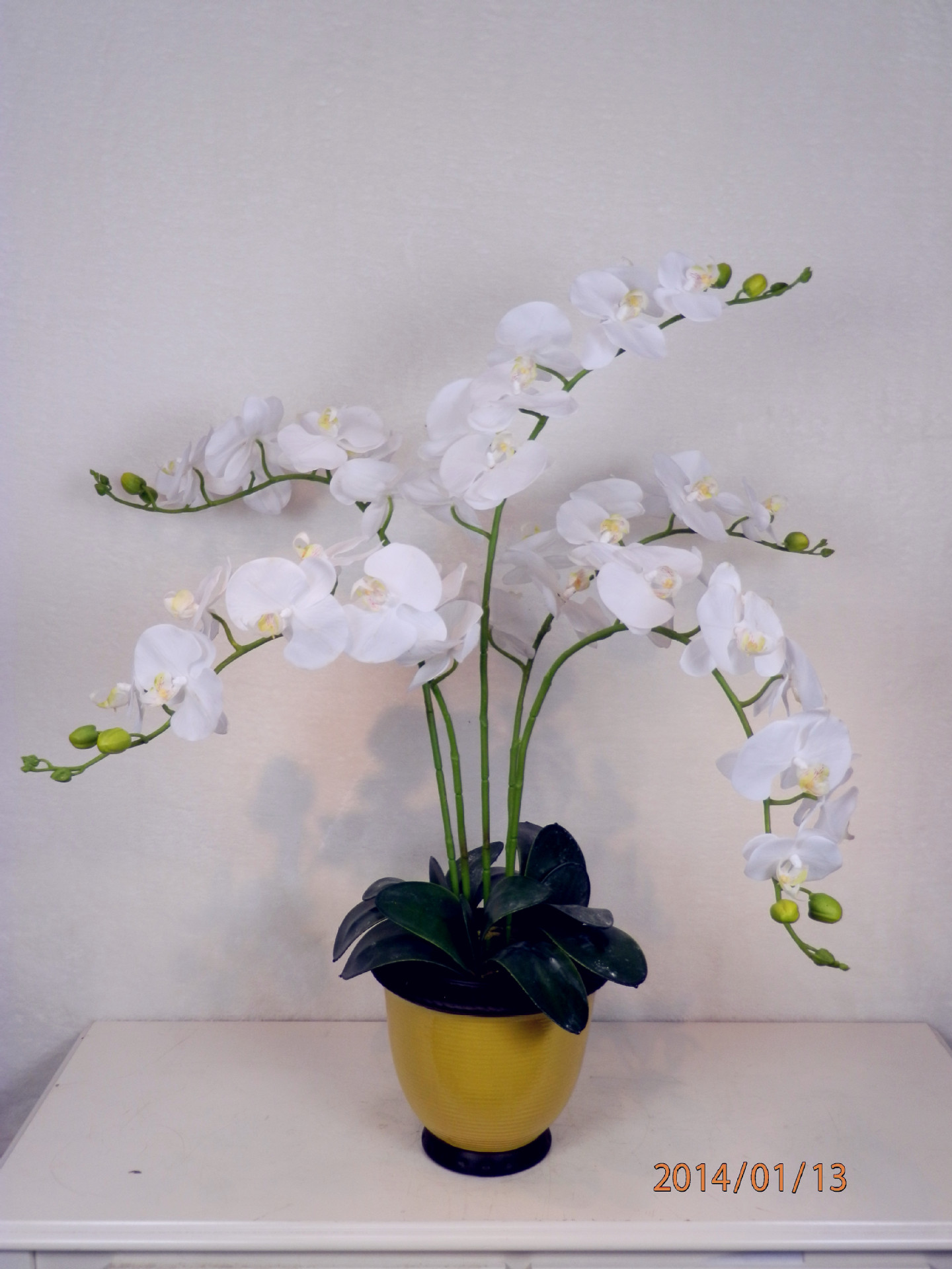 高仿真花艺蝴蝶兰餐桌小盆花插花