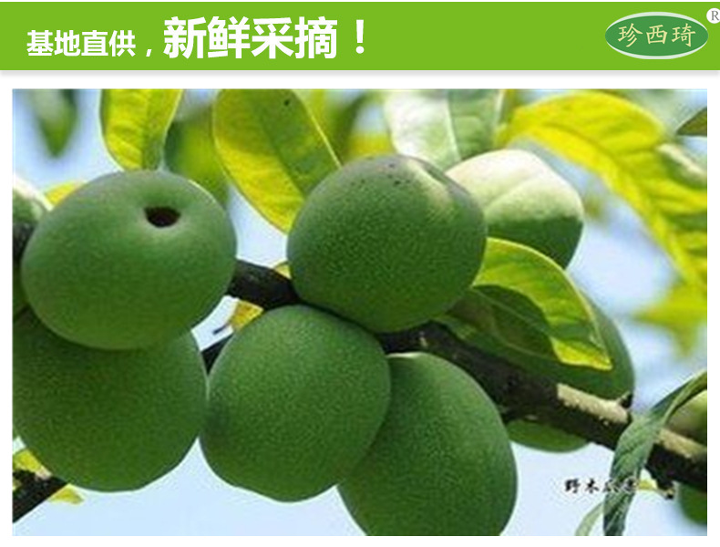 【火熱預(yù)訂】基地自產(chǎn) 貴州高原新鮮特級優(yōu)特 野木瓜  批發(fā)團購