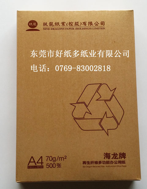 70克静电复印纸1001