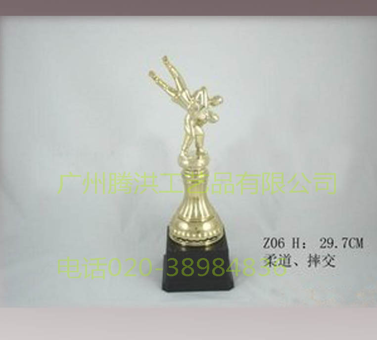 th-世界柔道赛奖杯