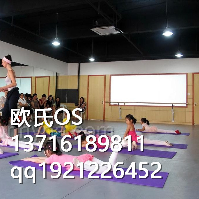 舞蹈教室地胶_副本