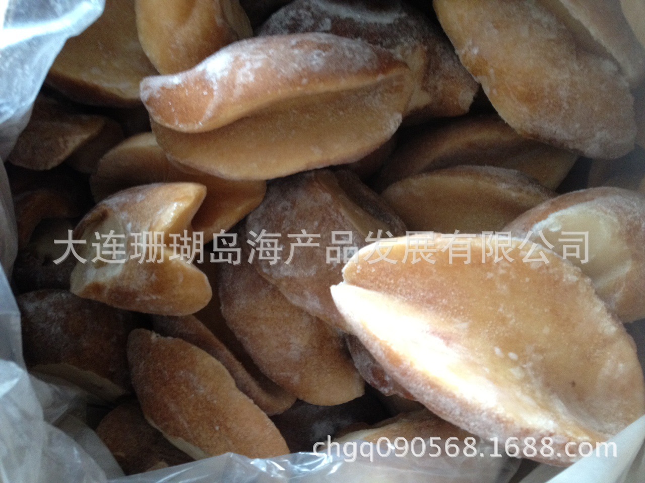 现货供应鲍鱼肉(鲍螺肉),黄金鲍,澳鲍,海珍品,海鲜