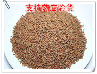 常年批发中药材沙阮子 纯净货 可检验