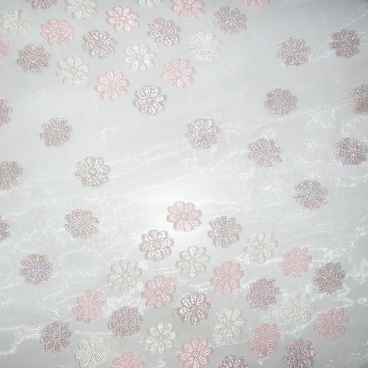 ˰껨ỨW2