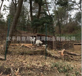 8174a465d1b8db16-5298279562f89