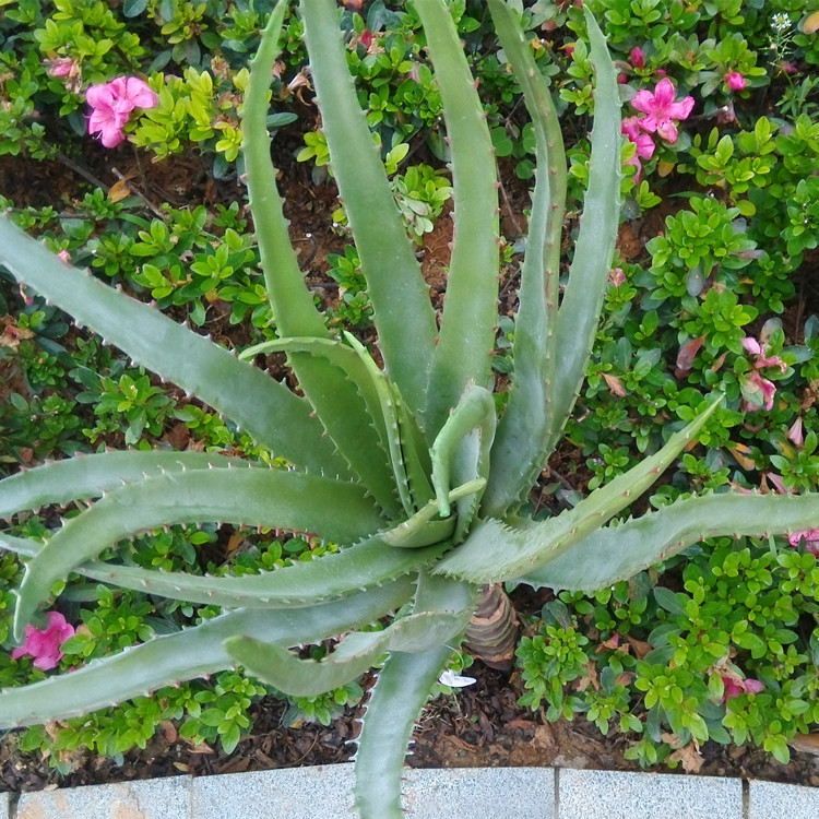 IMG_20150517_165354_副本