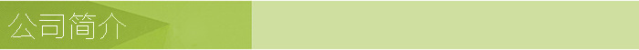 公司简介1