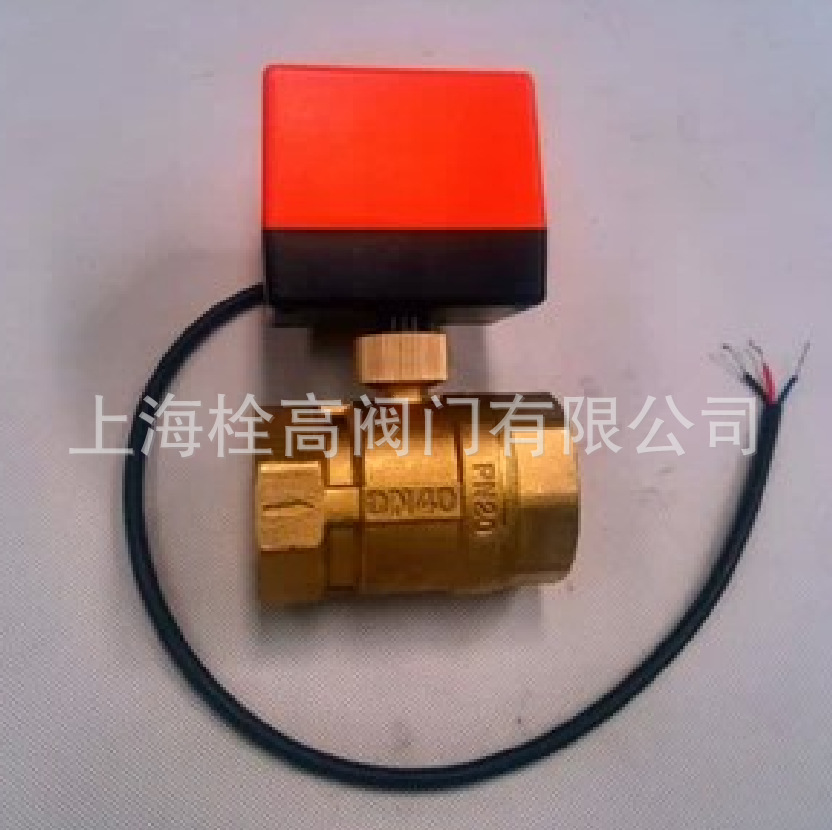 DN32 DN40微型电动二通球阀
