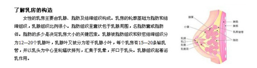 减肥、瘦身 精油 丰胸精油