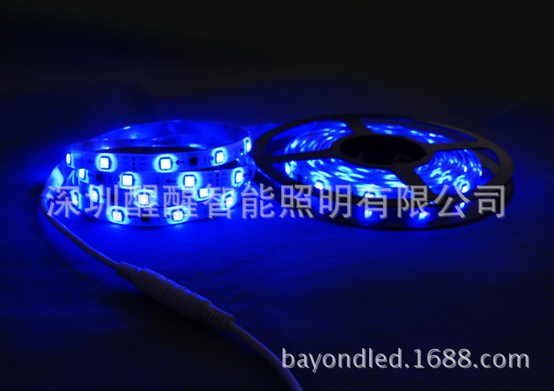 单片机10段30灯蓝光