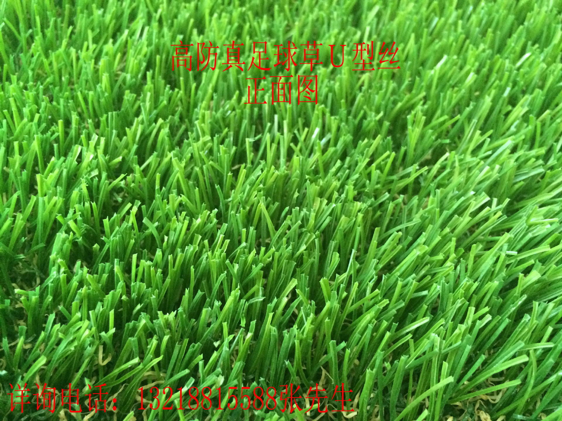 高防真足球草－Ｃ型丝