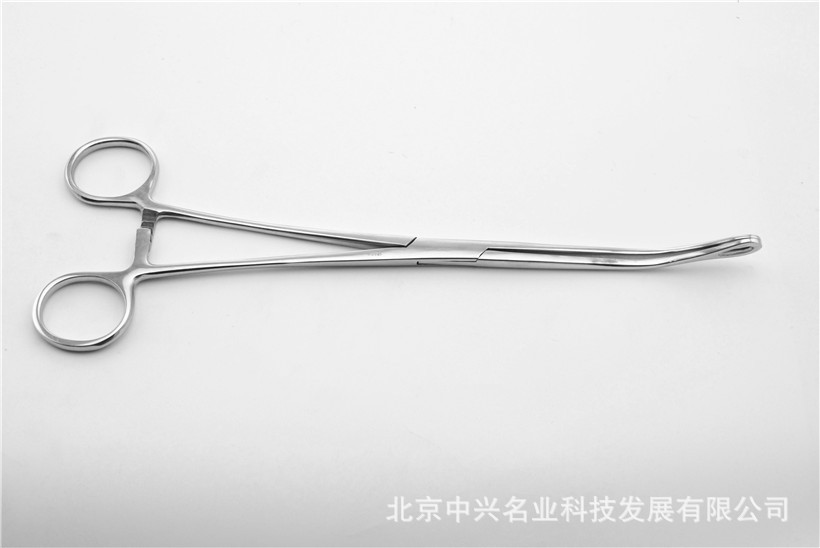 不锈钢医用卵圆钳25cm 上海金钟手术器械持物钳 基础外科手术器械